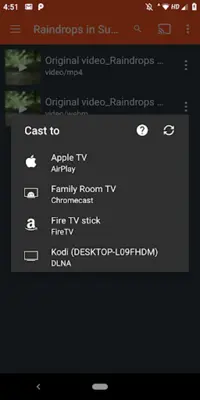 XtremeCast Chromecast, Roku android App screenshot 2